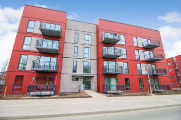 image of Apartment 11, Willow , 
